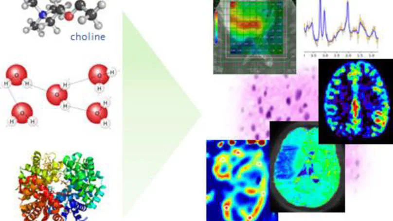 Label-Free Chemically and Molecularly Selective Magnetic Resonance Imaging