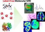 Label-Free Chemically and Molecularly Selective Magnetic Resonance Imaging